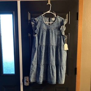 Arula Denim Dress